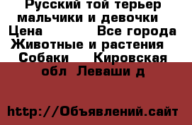 Русский той-терьер мальчики и девочки › Цена ­ 8 000 - Все города Животные и растения » Собаки   . Кировская обл.,Леваши д.